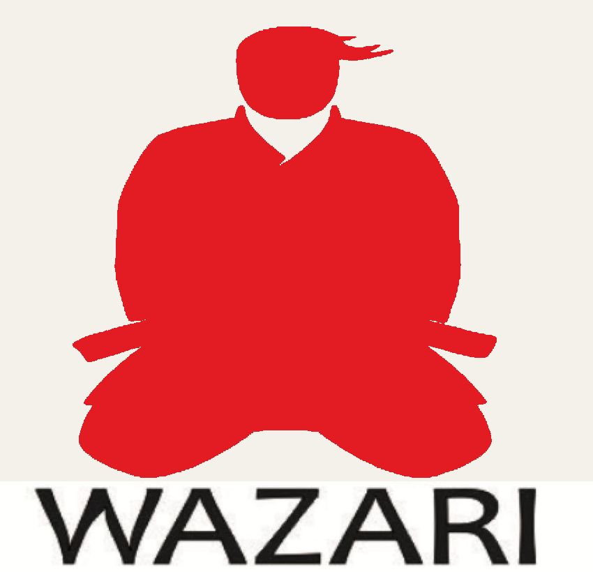 WAZARI red martial artist mark with black WAZARI wordmark