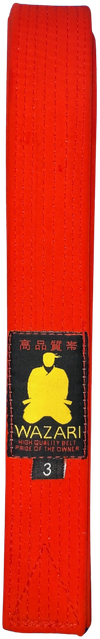 WAZARI red belt