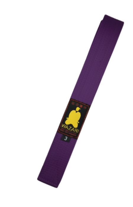 WAZARI purple karate belt